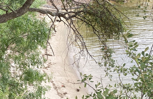 Impeccable 5 Bed House in Santa Cruz do Douro - Foto 23