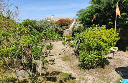 coucher de soleil vensac ocean Montalivet - Foto 12