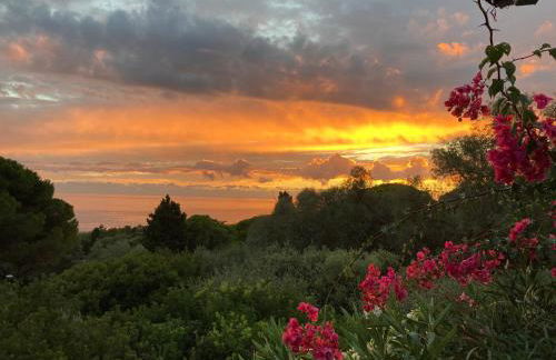 Chez Jean Claude la villa des amis - Foto 63