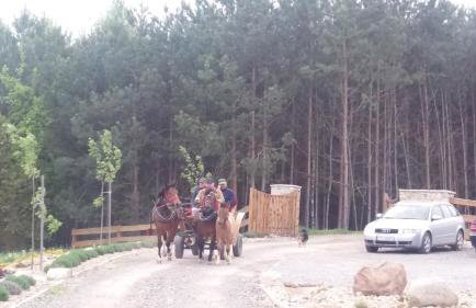 Baba Jagna - Foto 14