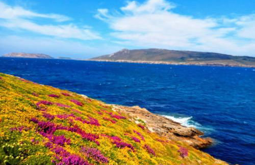 Casa completa - Camiño dos faros - Atlantico Malpica - Foto 17