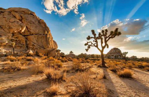 Nightsky Nest ※ Desert Getaway by Joshua Tree Park - Foto 49
