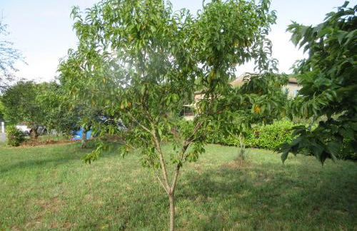 ARDECHE La Ribeyre - Foto 18