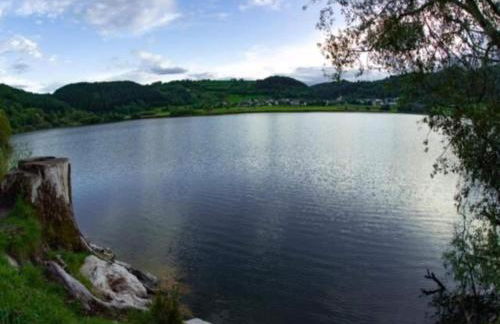 Holiday Home in Lissendorf by Forest - Foto 65