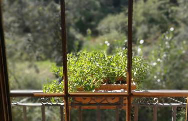 Casa Rural Sensaciones 3 dormitorios con jardin - Photo 33