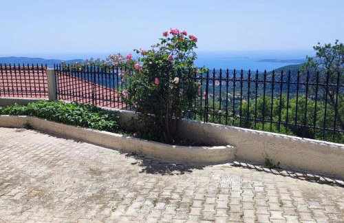 Fioravante - Foto 49