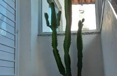 Casa temporada Cocal/Praia de Itaparica-Vila Velha - Foto 55