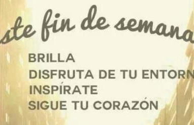 Don Mauricio y periquines - Foto 47