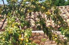 Traditional House in Velies - Foto 13