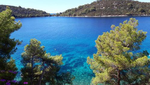 Pine Tree Apartment Zanetic - Photo 4