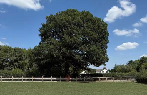 Oak View at Moss Bank Farm - Foto 25