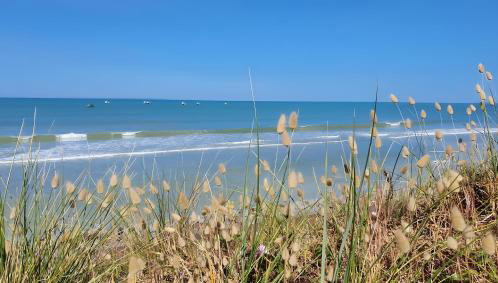 Maison De Plage La Grise Brèche - Foto 1