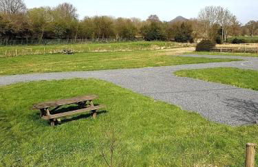 Green Dragon and Kitchen Pod - Sleeps 2 & Parking - Photo 3