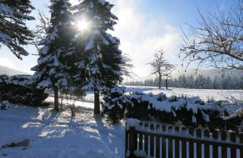 Ferienwohnung Tischneck - Foto 14