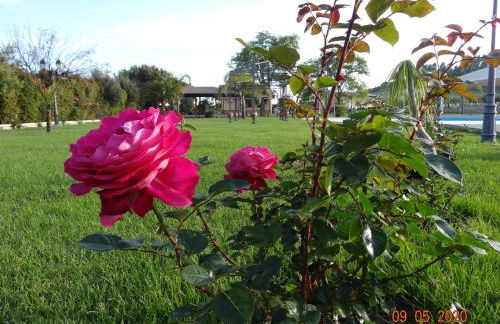 Agriturismo Fieri - Foto 13