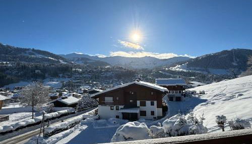 Chalet LE REPAIRE proches des Pistes - Foto 4