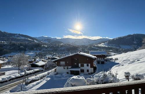 Chalet LE REPAIRE proches des Pistes - Foto 4