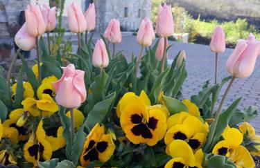 Poggio d'Incanto - Photo 10