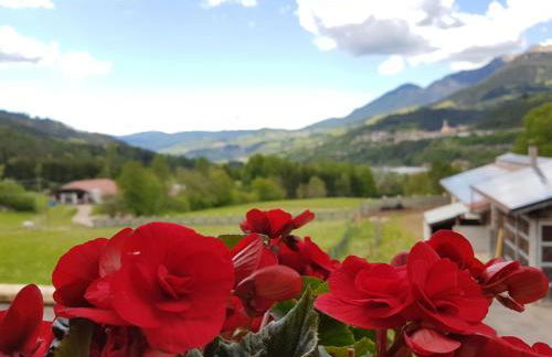 Agritur Maso Piasina - Photo 57