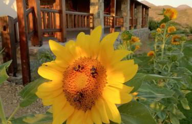 Anemomylos House - Foto 9