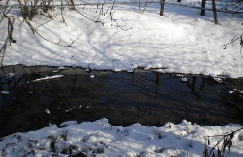 Villa Mainardi Agriturismo - Foto 50