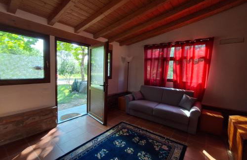 Fattoria Antognoni - Foto 72