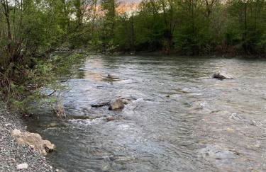 ranocchiaia - Foto 12