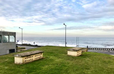 Estrelícia - Foto 30