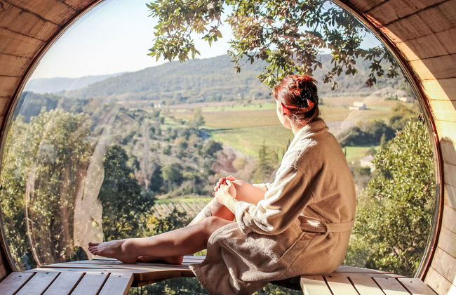 Domaine de Sévenier Micocoulier - Foto 14