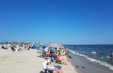 Perfect Rx: Luxury Condo in Downtown Harwich - Photo 38