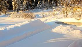 Ferienbungalow Sonnenwald Bayerischer Wald - Foto 5