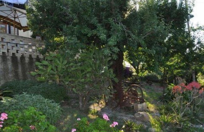 Il Terrazzo sul Sinni - Foto 65