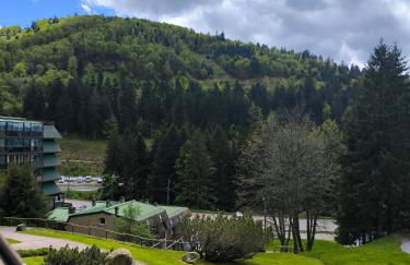 la bulle des sapins - Foto 21