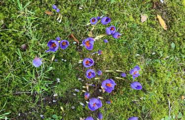 Garden Studio for Two - Foto 41