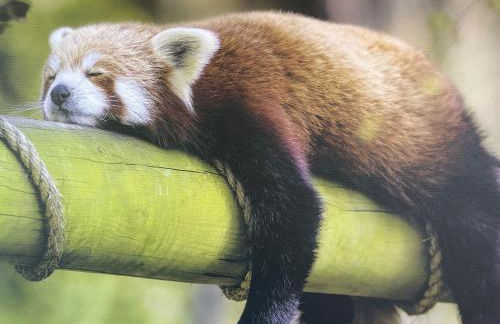 Feriendorf Öfingen 12 - Photo 55