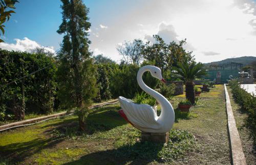 Four Seasons - Foto 60