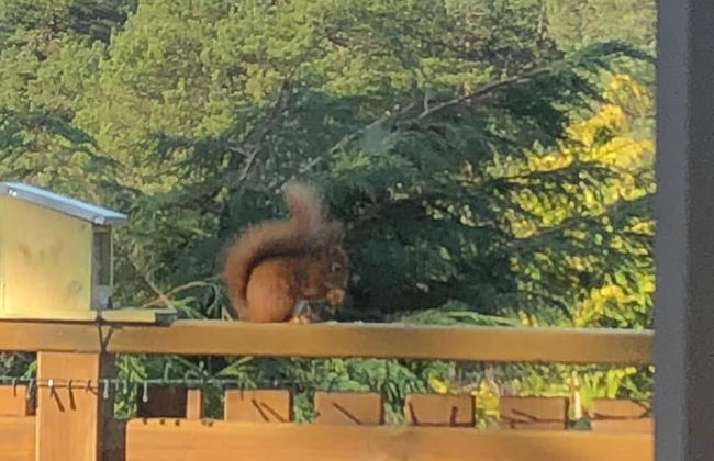 Beautiful 2 Bedroom Lodge With Stunning Views - Foto 18