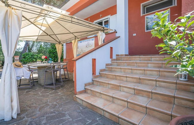 Buen Camino SSA - Foto 15