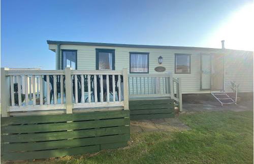 The Wee Sprout - Foto 11