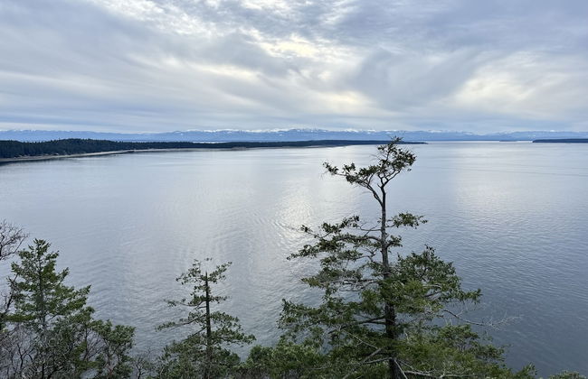 Heartwood Retreats - Foto 51