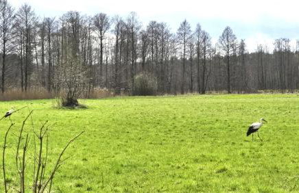 Mazury Apartament/Dom z ogródkiem całoroczny przy jeziorze - Foto 24