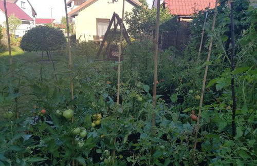 Dom Colonia - Foto 14