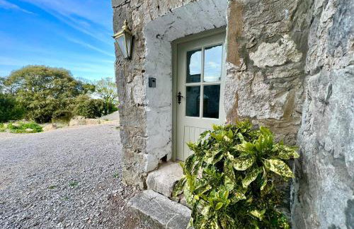 Tan-yr-Ogo Gate Lodge, Gwrych Castle - Foto 6