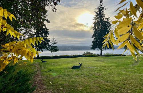 Beach and Bay Access! 5-Acre Whidbey Island Retreat - Foto 29