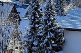 Ferienwohnung im Allgäu mit Bergsicht - Foto 12