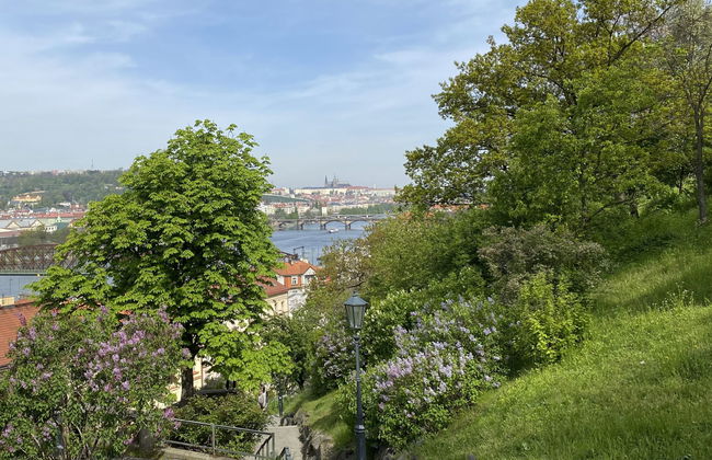 Prima Plus - Foto 27