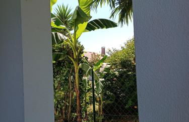 Colline de la bergerie - Foto 24