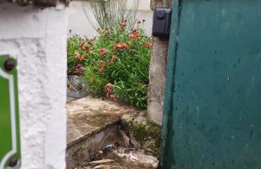 Maison de maître - Foto 10