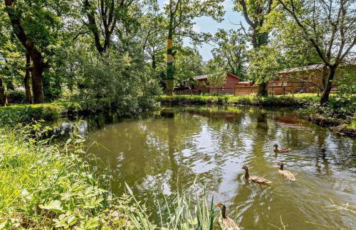 2 Bed in Okehampton oc-92385 - Photo 22