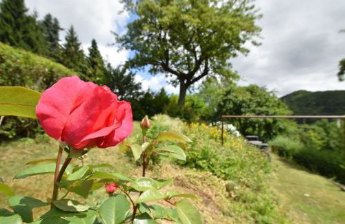 Ferienhaus, Medebach - Foto 76